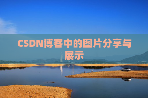 CSDN博客中的图片分享与展示